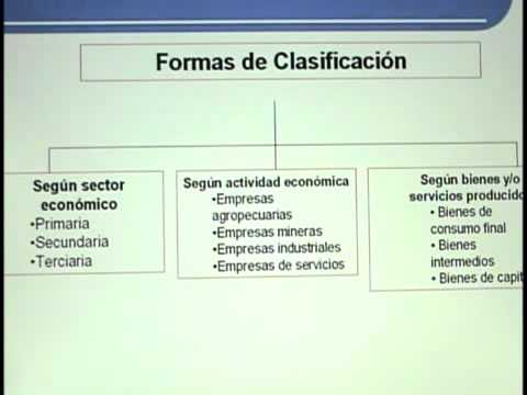 Tipos de organizaciones: Gubernamentales e Internacionales