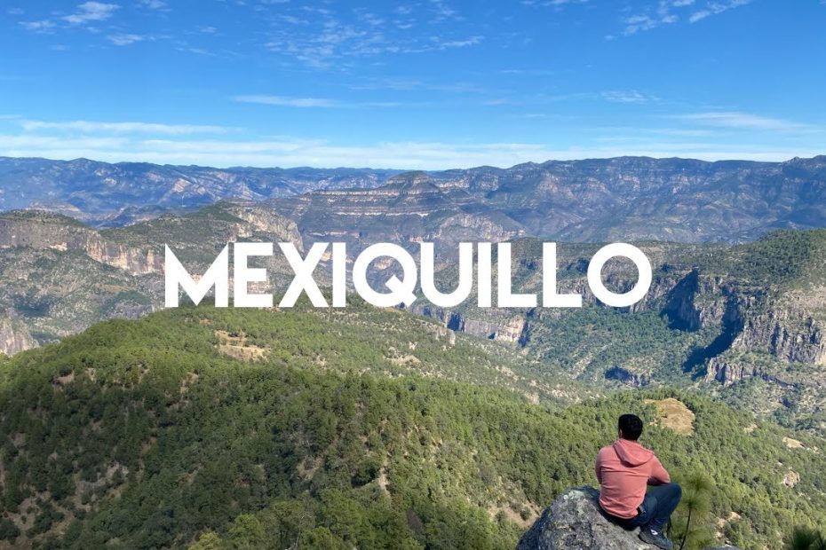 Guía completa para elegir y cuidar tu sierra de carpintería