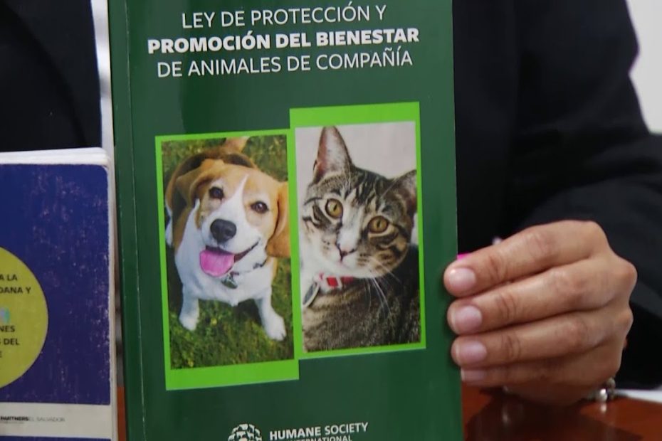 Guía para denunciar ataques de perros: dónde y cómo hacerlo en España y América Latina 1 Guía para denunciar ataques de perros: dónde y cómo hacerlo en España y América Latina
