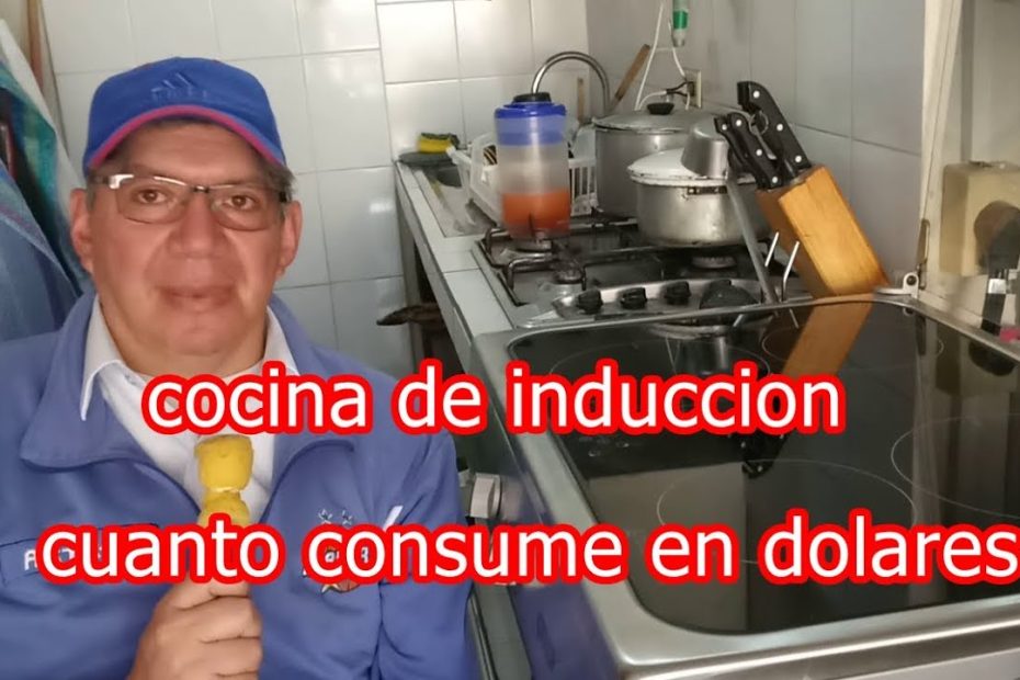 Guía para ahorrar energía con una cocina de inducción