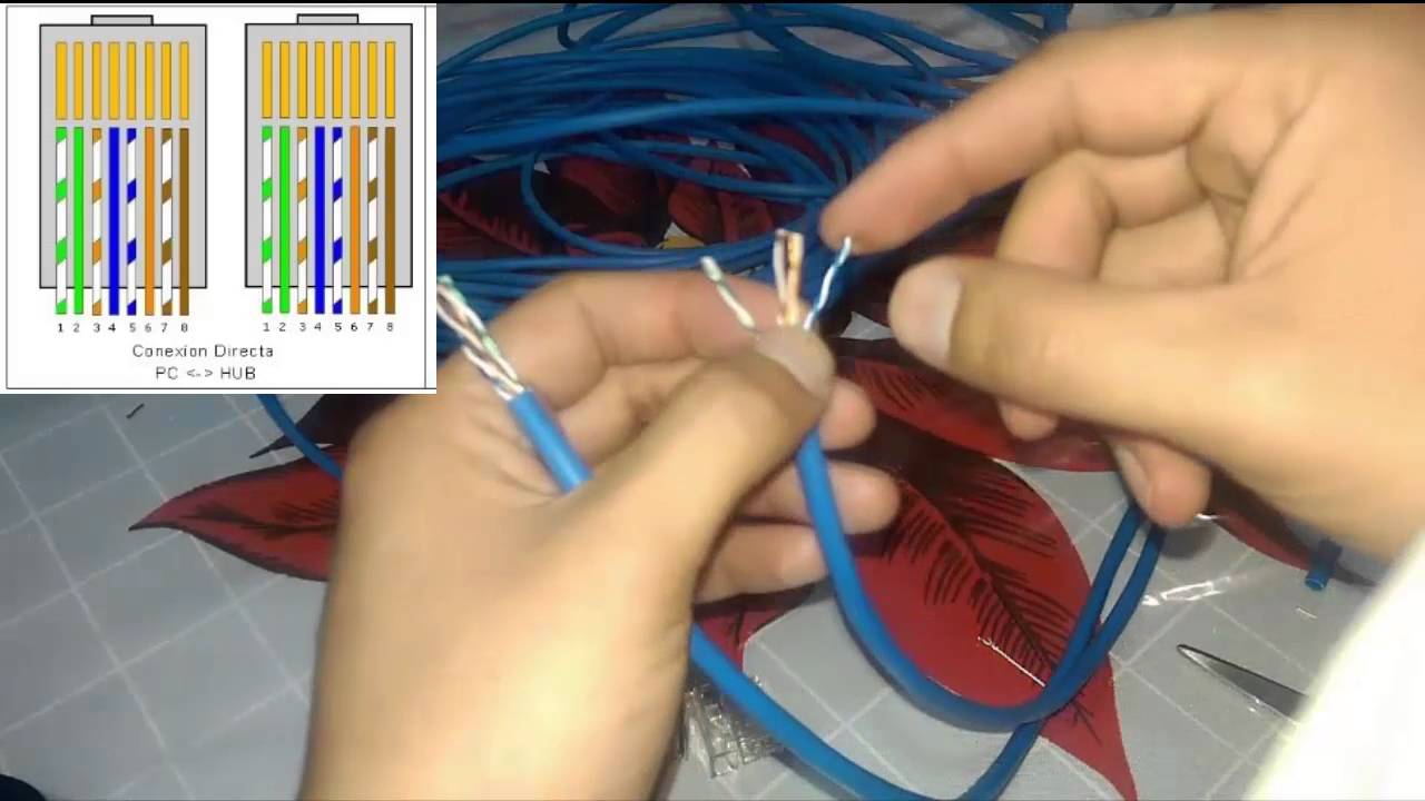 Aprende A Introducir Correctamente Los Cables En Una Ficha RJ45 Con ...