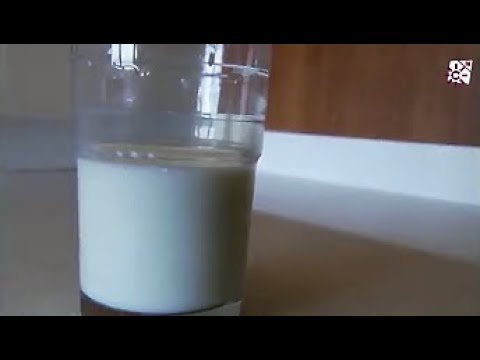 Las vitaminas en la leche sin lactosa: ¿una fuente confiable?