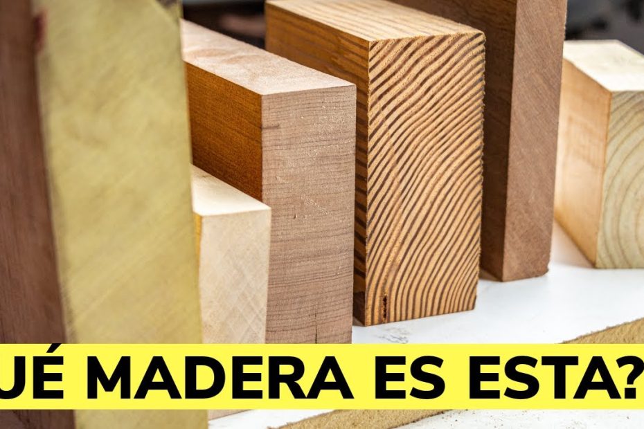 Tipos de maderas y sus usos comunes: blandas, exóticas y sintéticas
