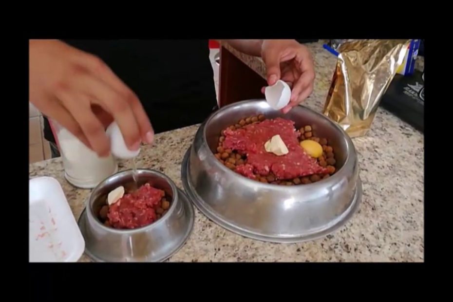 Guía de alimentación para Bulldogs: opciones y consejos