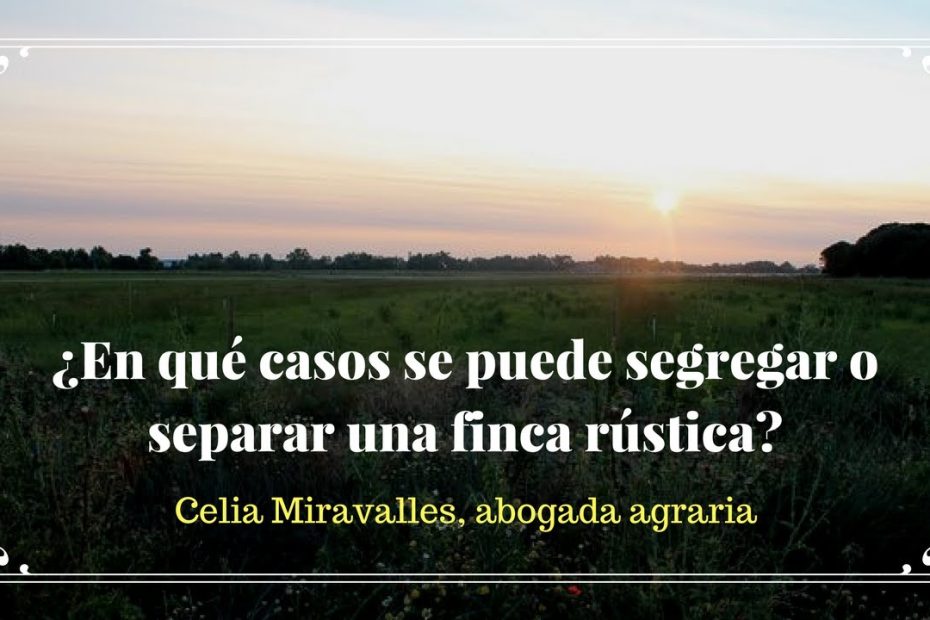 División de fincas rústicas: procedimiento, requisitos, aspectos y alternativas