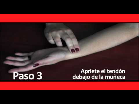 Medición del pulso en 30 segundos: Pasos, técnicas, consejos e interpretación