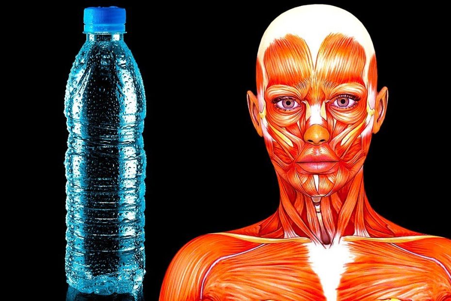 La importancia de la hidratación: beneficios, mitos y consejos
