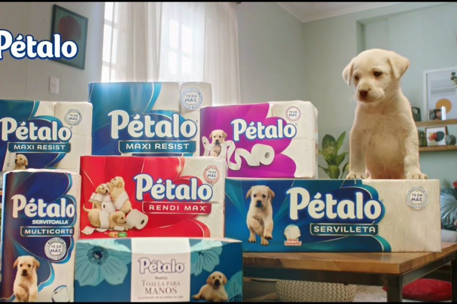 El misterio resuelto: la raza del perro en el comercial de Petalo