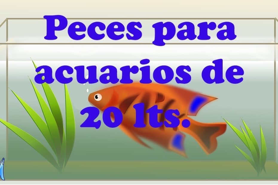 Cuidado de peces en acuarios de 20 litros: Consejos y recomendaciones