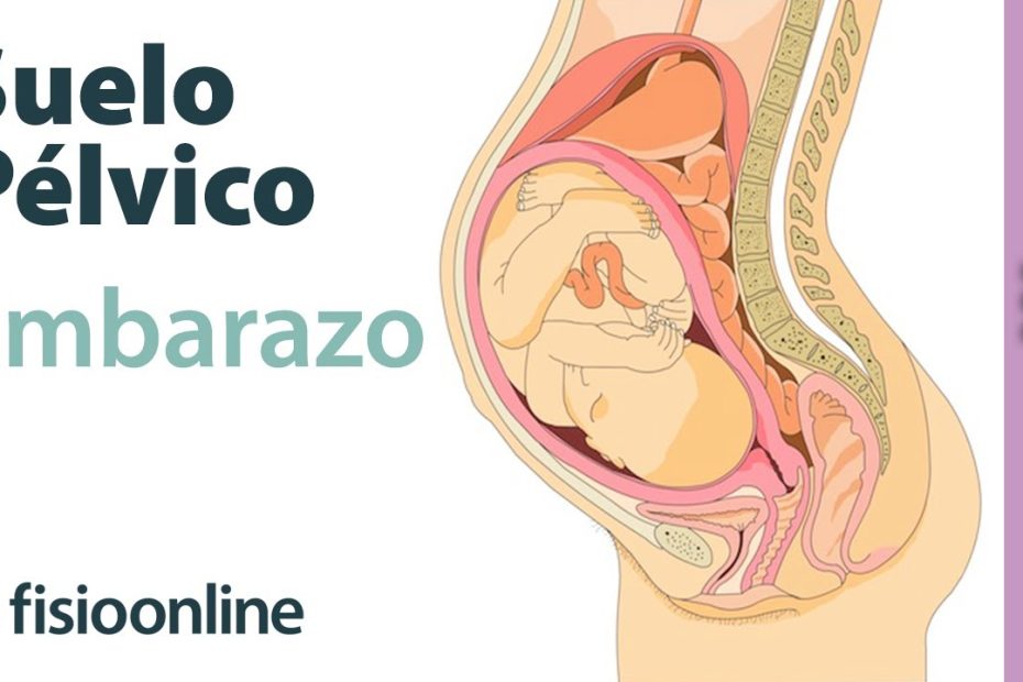 Dolor en el suelo pélvico durante el embarazo: causas, síntomas, consejos y tratamientos