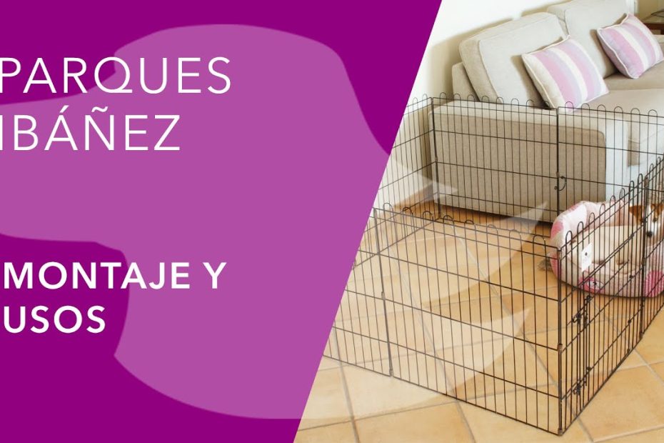 Descubre los beneficios de los parques educativos para perros