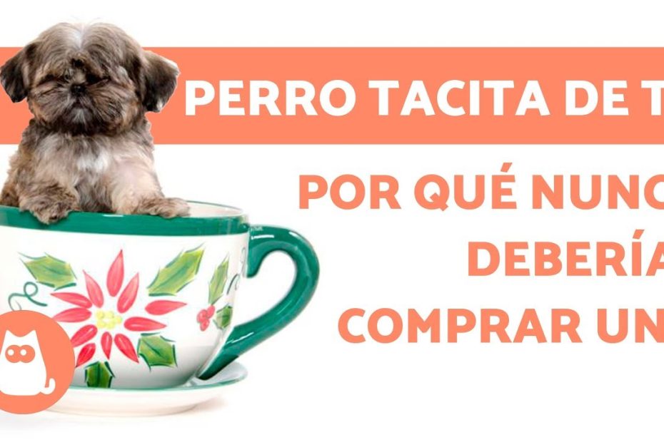 Consejos para limpiar y mantener la calidad de tus tacitas de té