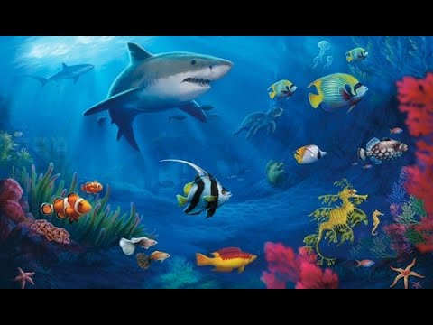 ¿Cómo se clasifican los animales que viven en el mar?