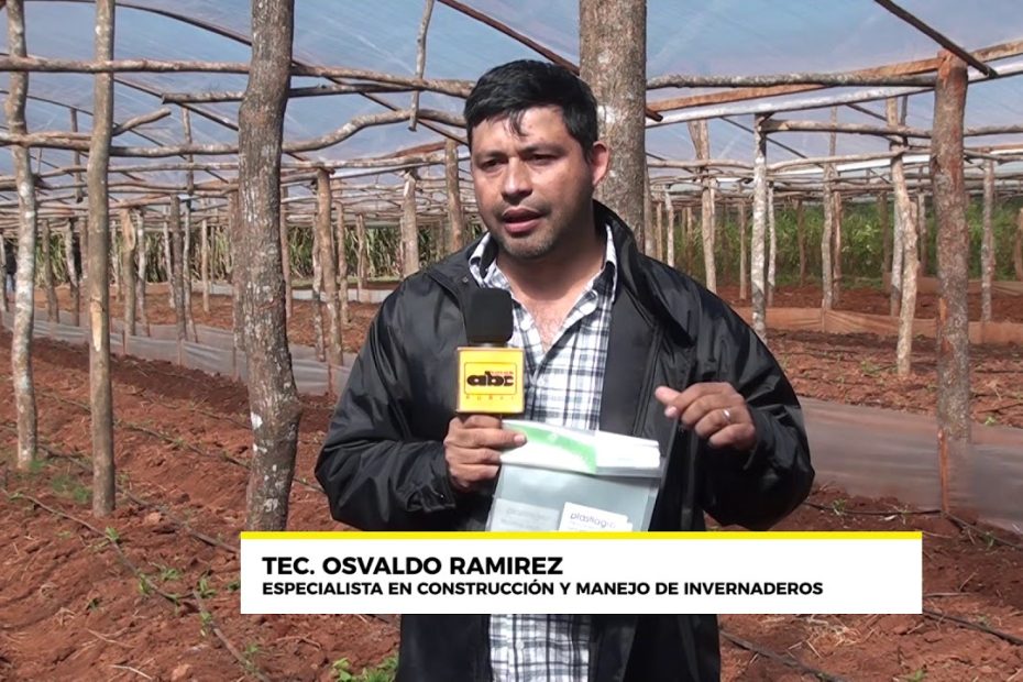 ¿Cuáles son los principales procesos que se realizan en un invernadero?