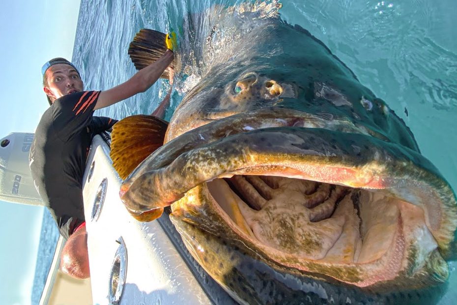 ¿Quién compro Peixe? 1 ¿Quién compro Peixe?