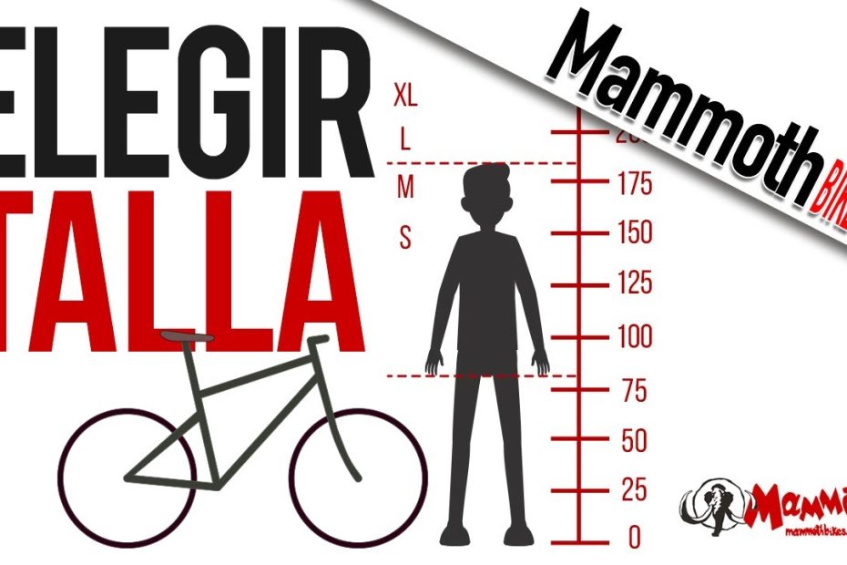Consejos para elegir y ajustar la talla de tu bicicleta