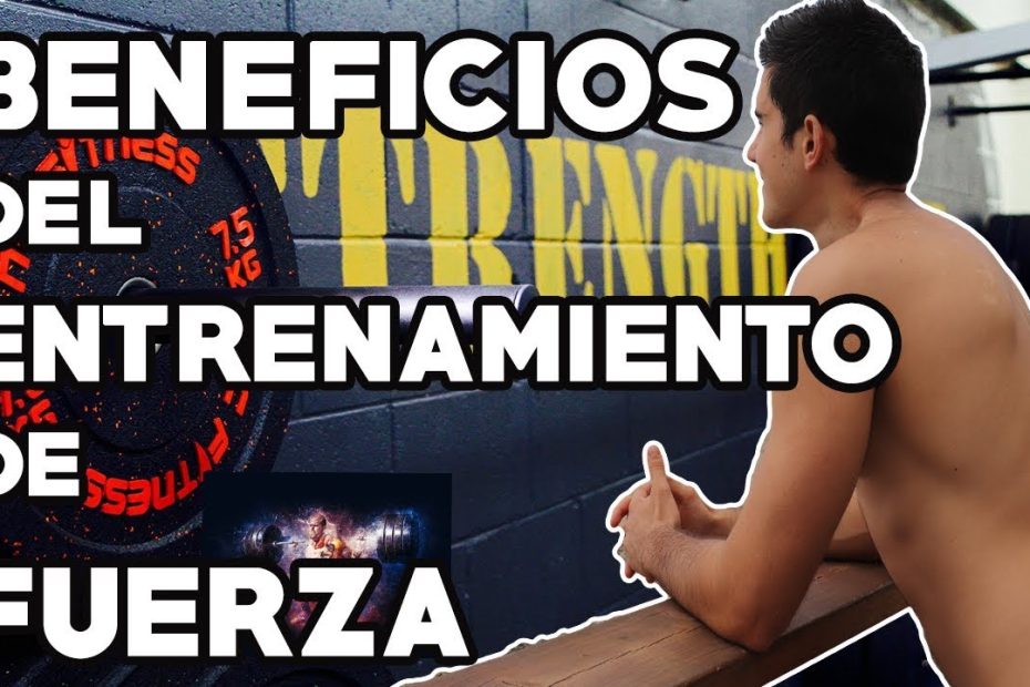 ¿Cuáles son los ejercicios de fuerza y para qué sirven?