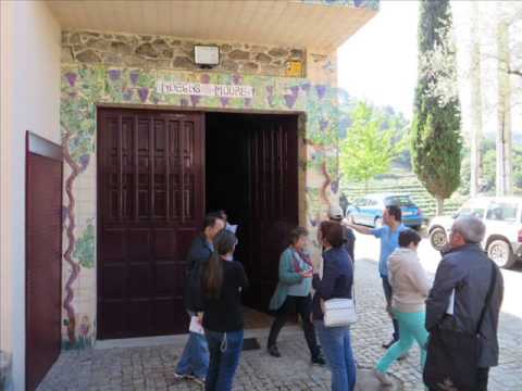 ¿Qué bodega visitar en la Ribeira Sacra? 1 ¿Qué bodega visitar en la Ribeira Sacra?