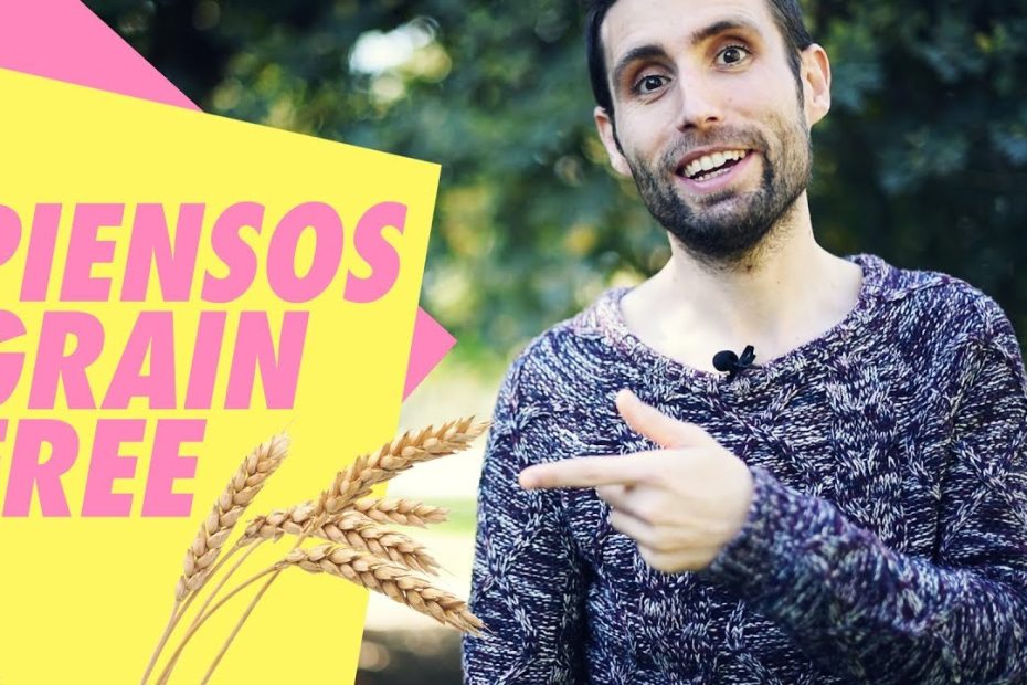¿Que contienen los piensos?