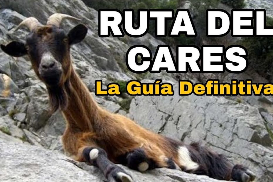 ¿Que llevar para hacer la ruta del Cares?