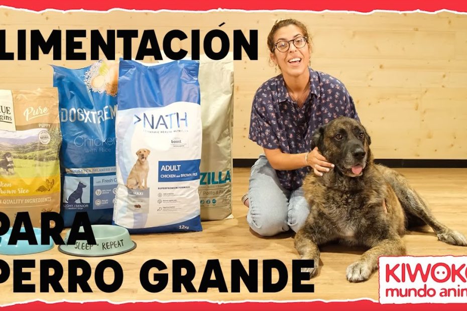 ¿Que pienso es mejor para un mastín?