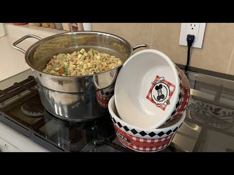La importancia de la carne en la dieta de tu perro: tipos y opciones