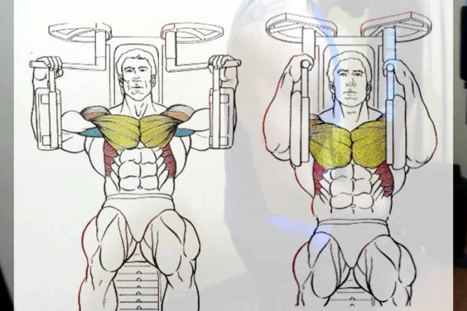 ¿Qué musculos trabaja la máquina multifuncional?