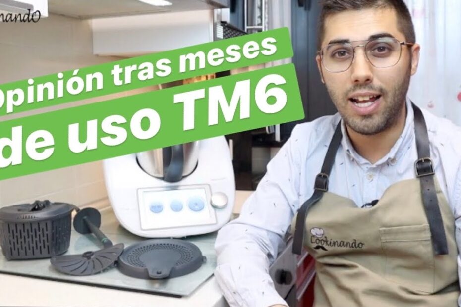 ¿Qué año salió la Thermomix TM6?